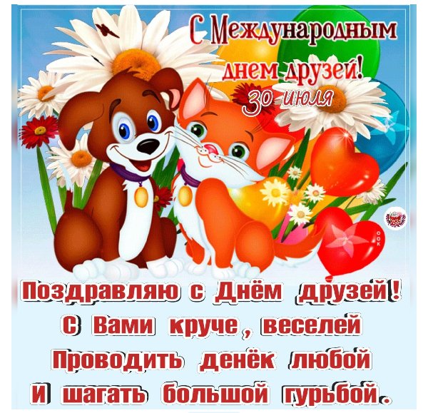 IMG 20220731 101100