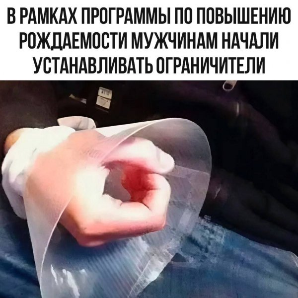 picture_406759677