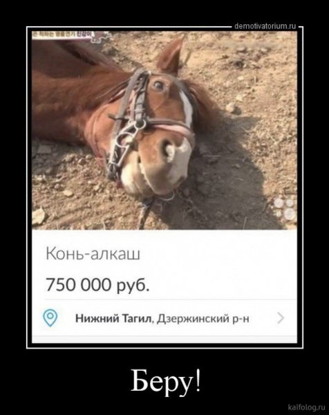 picture_386637027