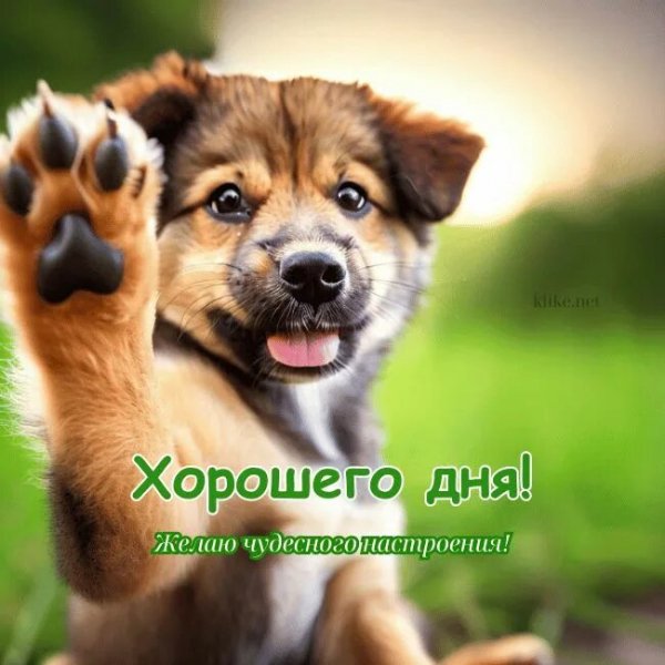 Всем и каждому!