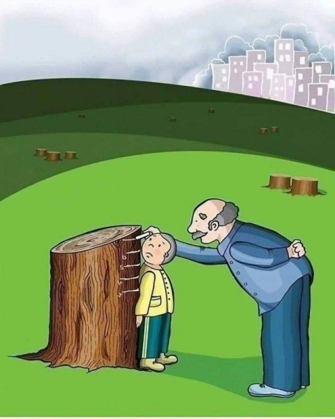 picture_417984931