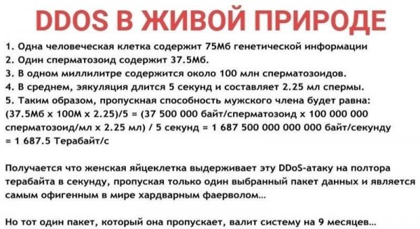 Норм сервак