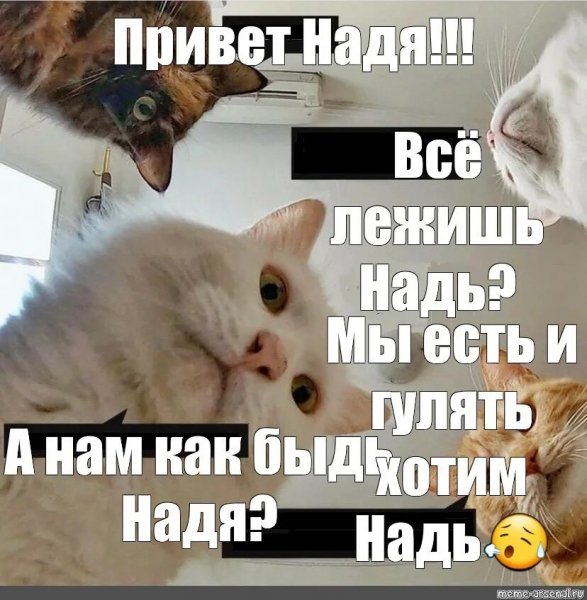 Привет Надя!!!
