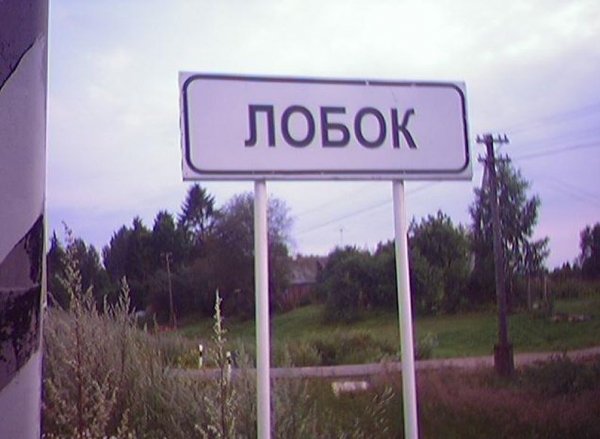 pics