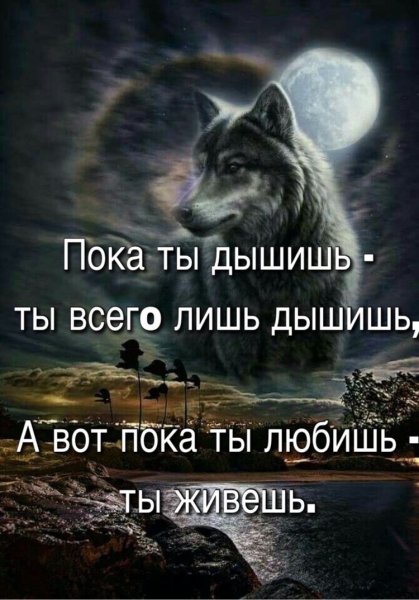 IMG 20181121 115158