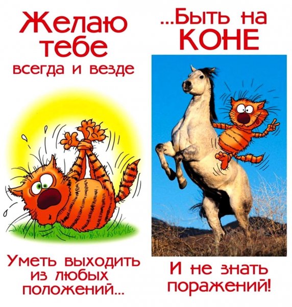 Otkrytka-kollege-muzhchine-s-dnem-rozhdeniya-prikolnaya-6