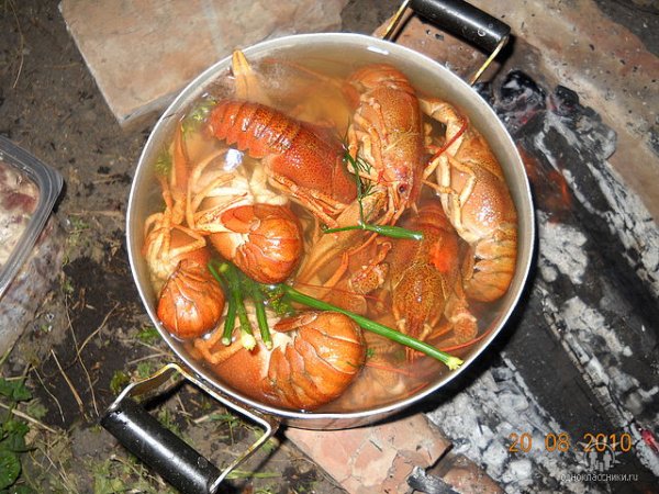 раки уже готовые