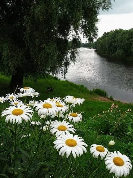 реки 102508