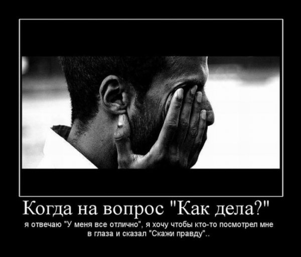 Demotivatory (17)