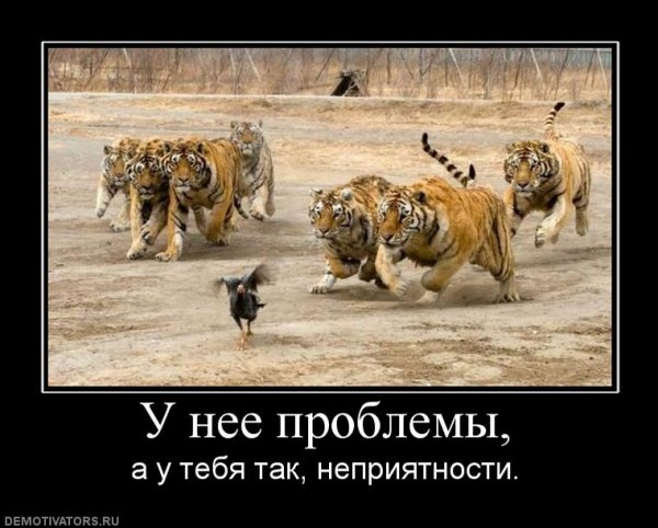 Demotivator (41)
