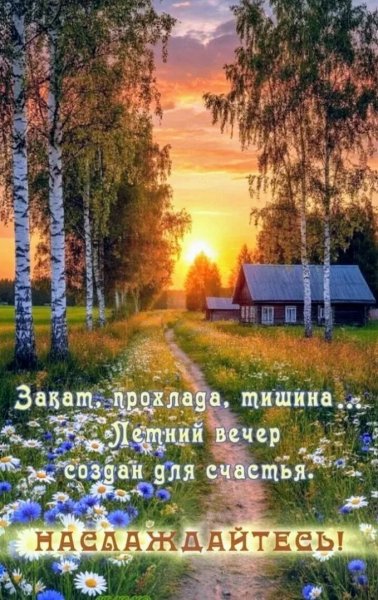 Добрый вечер!