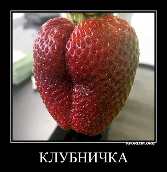 picture_408900000