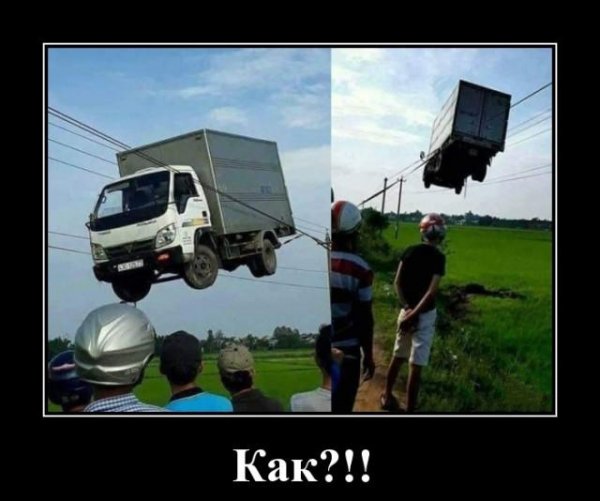 Газель