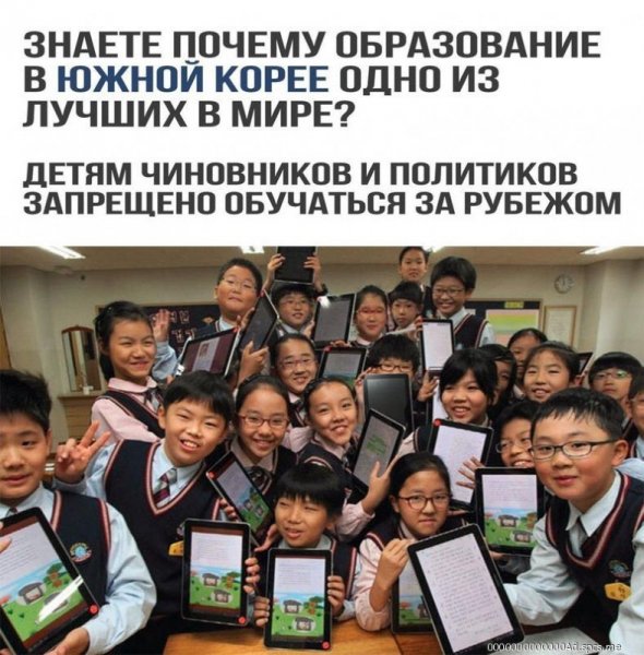 p.800.800.0-
