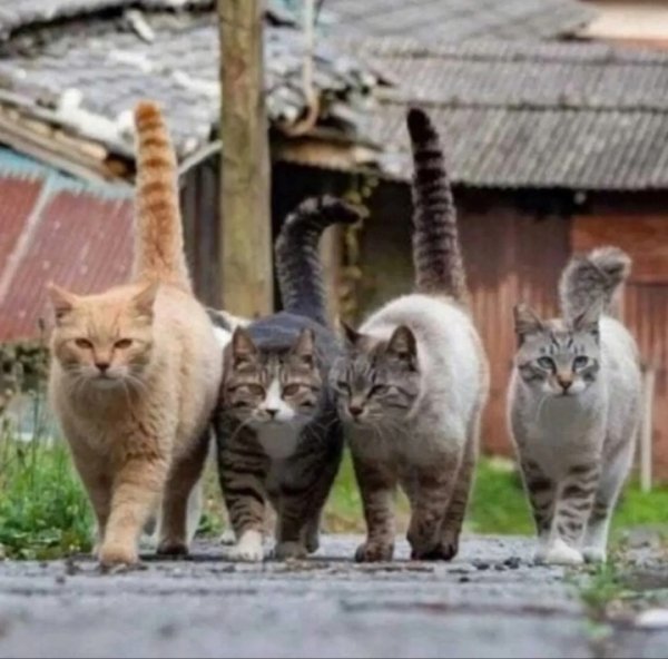 IMG 20240712 190728