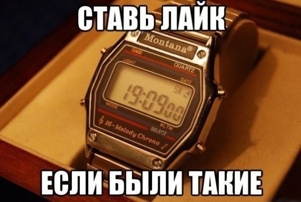 монтана