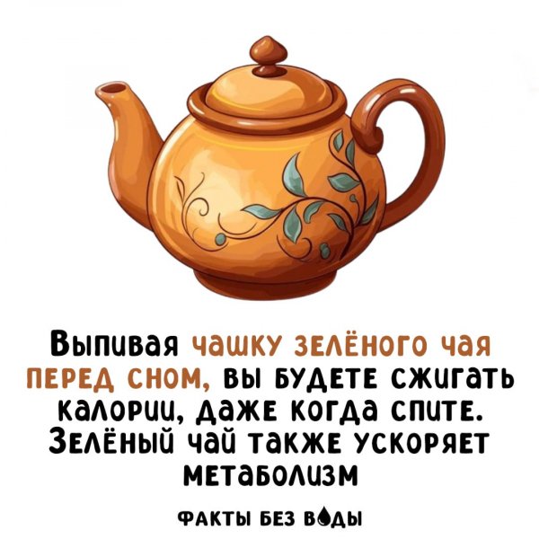 IMG 20260625 004808 418