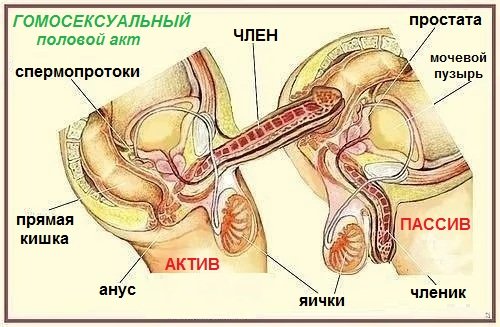 схема