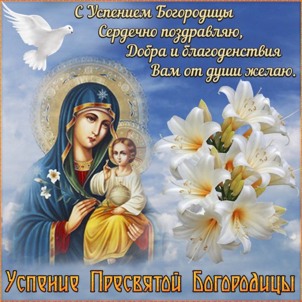 IMG-20220828-WA0000