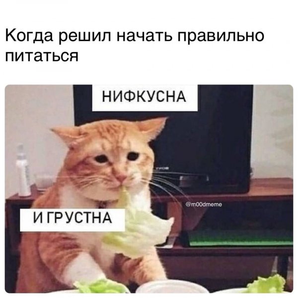 b3d8477cd3f5f6ce6e38a5bddd
