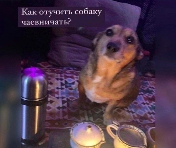 Cf2c019398 20003274