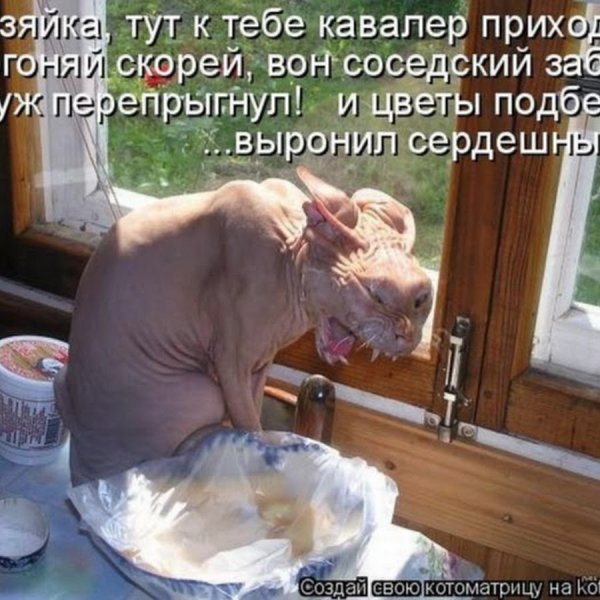 picture_414346790