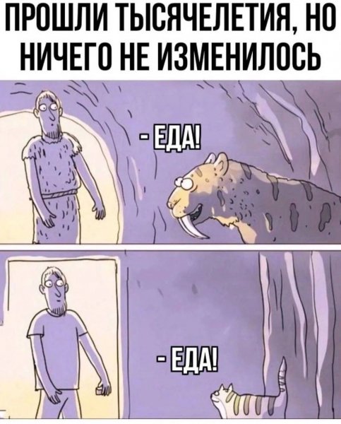 Юмор