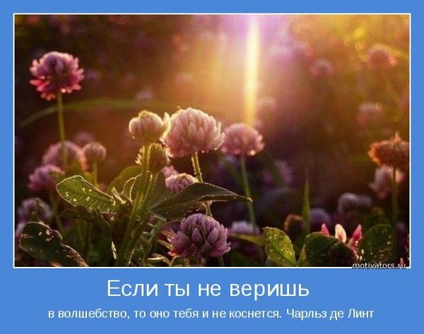 motivatori interesnie-4