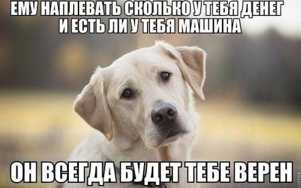 3j2Ze8BUNUA