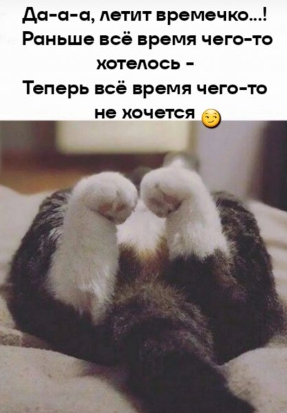 Gallery 1749570405502