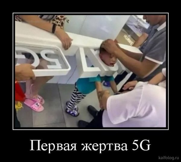 picture_381882250