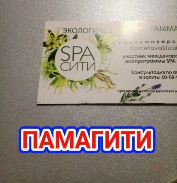 luchshie-memy-shutki-i-kartinki-dlja-horoshego-na
