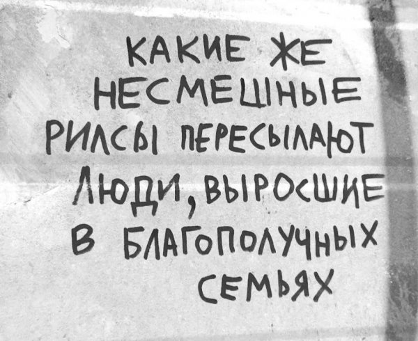 IMG 20260809 455