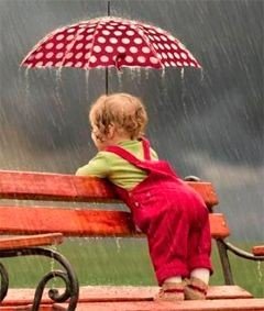 8e7d2d59a3bbbddaf7ac22abb20b8668