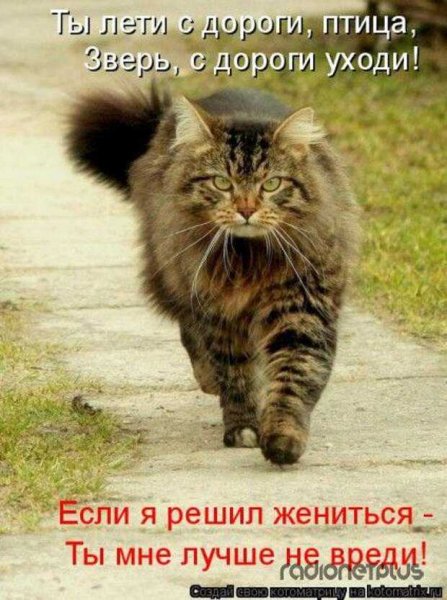 Так!!!