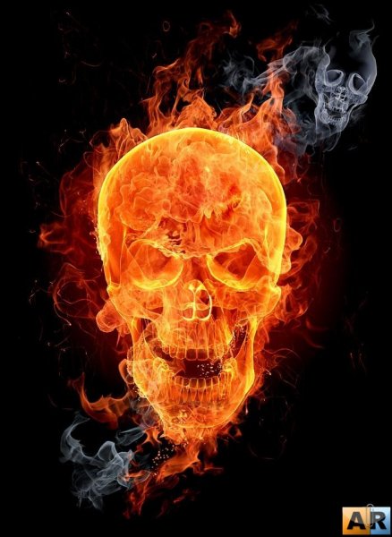 skullfir