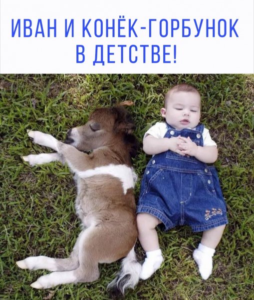 MreHgF-a