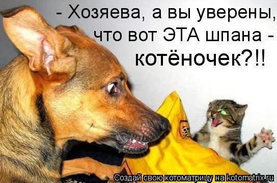 А??!!!
