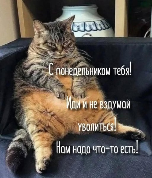 Mejdunamidevochkami f7c48944781a43559acb223f52e50cd3