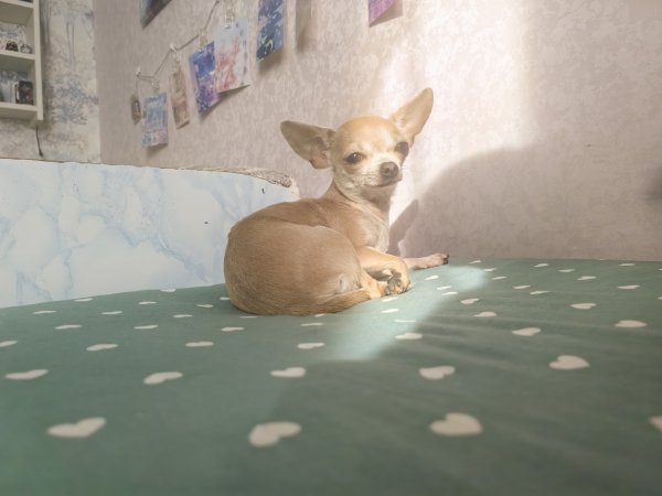 IMG 20251119 093833