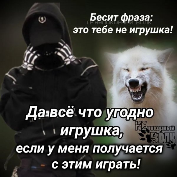 IMG 20260114 030526