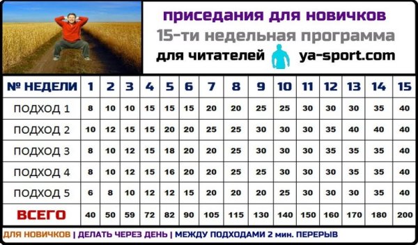 Приседания для новичков