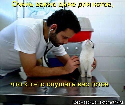 picture_413594716