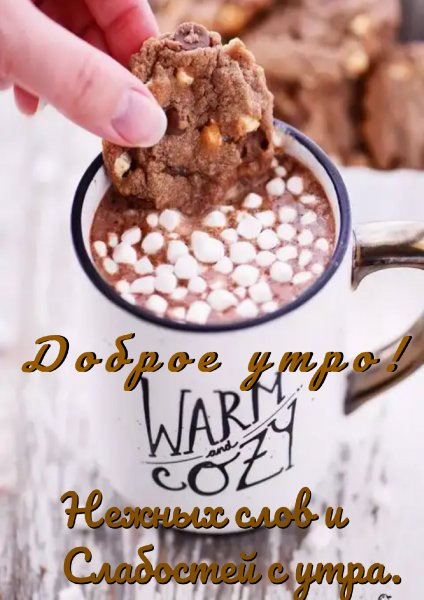 Доброе утро