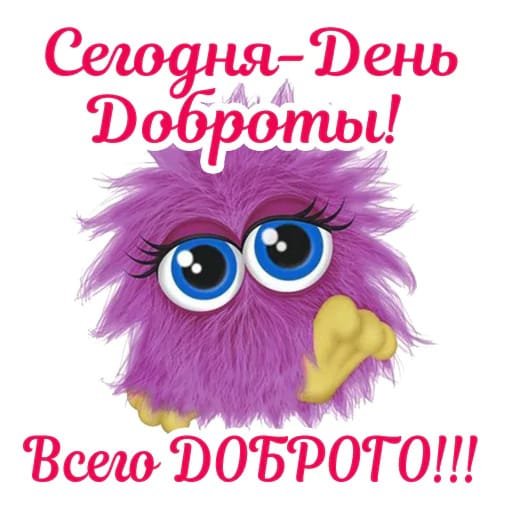 IMG-20240218-WA0000