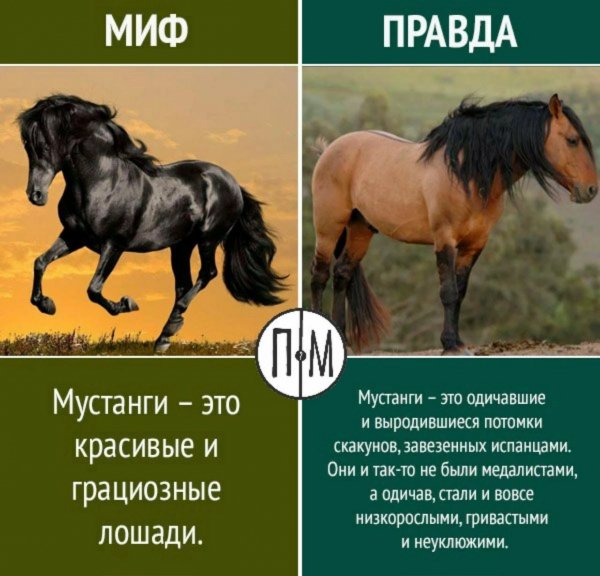 Это интересно