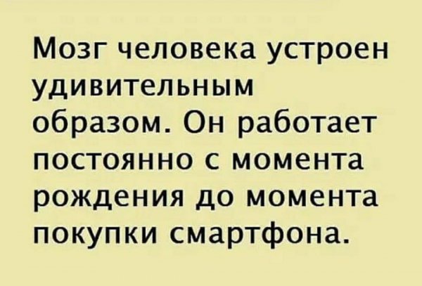 Mozg cheloveka-