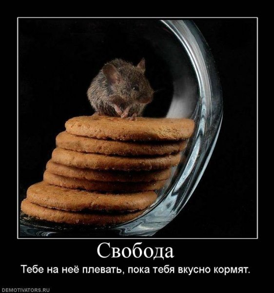 Demotivator (31)