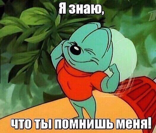 bT1Dfd6PRgk