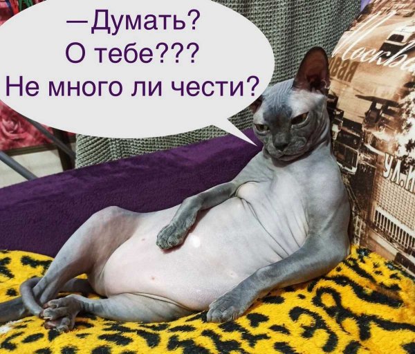 А???